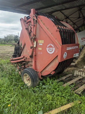 Balotiera baloti rotunzi - imagine 3