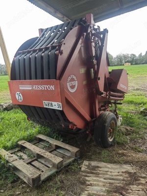 Balotiera baloti rotunzi - imagine 2