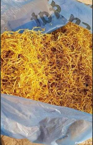 Tutun firicel la oferta! Comandati 4 si primiti 5