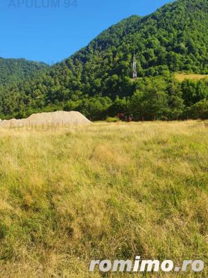 Teren Județul Vâlcea - Brezoi, Valea lui Stan - imagine 18