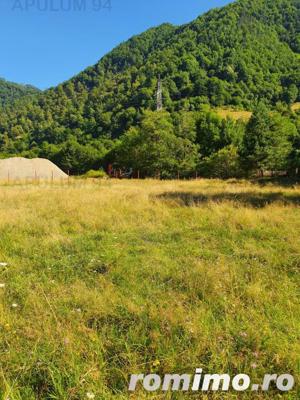 Teren Județul Vâlcea - Brezoi, Valea lui Stan - imagine 20