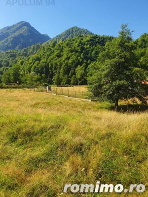 Teren Județul Vâlcea - Brezoi, Valea lui Stan - imagine 17