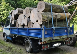 Transport Lemn de foc în Arad - imagine 3