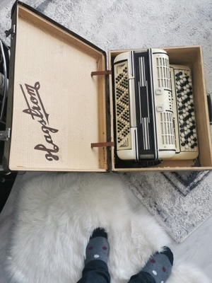 Acordeon Armonica 120 basi