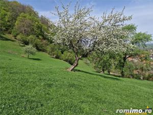 FILM! Langa emblematicul Castelul Bran, in areal colinar, 5.700mp intravilan - imagine 16