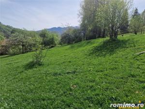 FILM! Langa emblematicul Castelul Bran, in areal colinar, 5.700mp intravilan - imagine 17