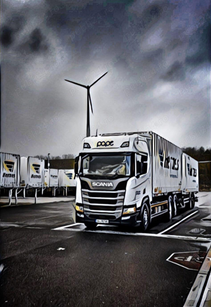 Soferi Germania  - imagine 4