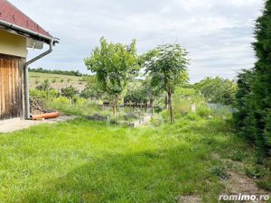 Casa cu teren 2052 mp in Saldabagiu de Munte - imagine 16