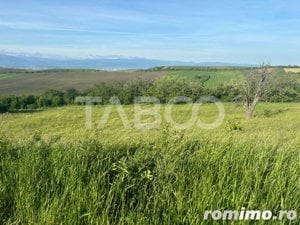 Teren de vanzare intravilan 8900mp Sura Mare zona deosebita