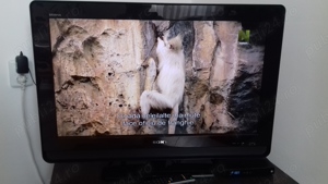  Sony Bravia TV FULL HD 1080p - imagine 4