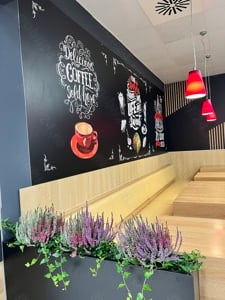 Gramini Lugoj vrea colegi noi în echipă ! :) - imagine 9