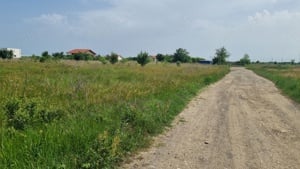 vad teren agricol intravilan Timisoara