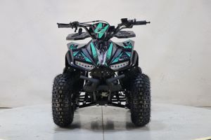 Atv BEMI Naples 125 FNR automatic SR7" - imagine 3