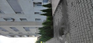 Apartament de doua camere parter Bucuresti, Sector 1, Complex FeliCity