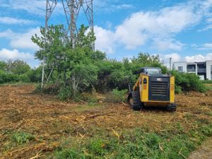 Curatare,defrisare,tocare pe terenuri cu brusturi si arbusti.