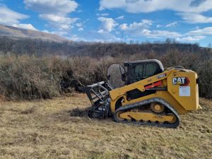 Curatare,defrisare,tocare pe terenuri cu brusturi si arbusti.