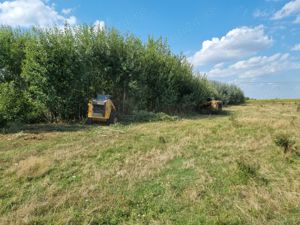 Curatare,defrisare,tocare pe terenuri cu brusturi si arbusti. - imagine 8