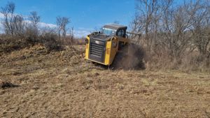 Curatare,defrisare,tocare pe terenuri cu brusturi si arbusti. - imagine 5