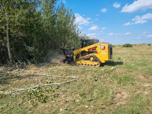 Curatare,defrisare,tocare pe terenuri cu brusturi si arbusti. - imagine 2
