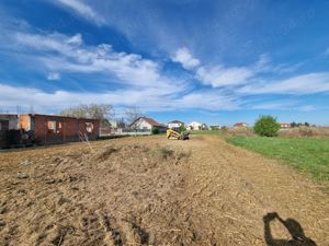 Curatare,defrisare,tocare pe terenuri cu brusturi si arbusti. - imagine 6