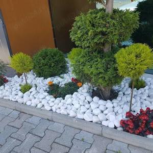 Marmura alba thassos 