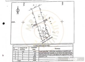 Teren 6500 mp+ casa batraneasca loc. Suseni, jud. Arges. Comision 0% - imagine 10