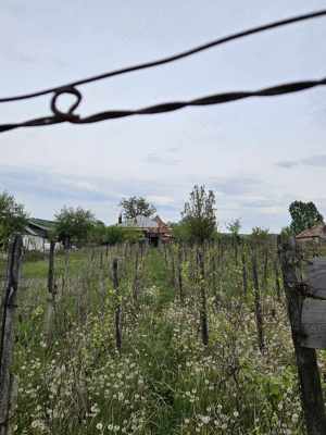 Vand casa Sutesti la 7 km de Drăgășani  - imagine 2