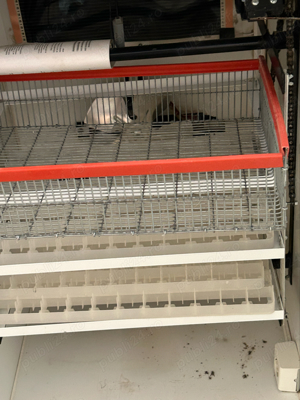 vand incubator - imagine 5