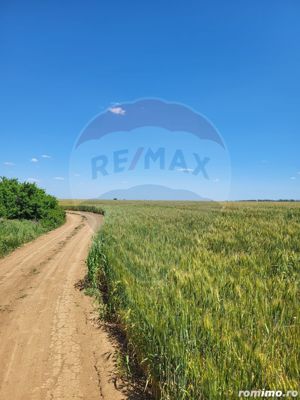 Teren intravilan 4,100 mp, fs 18 ml si 2222 mp fs 16 ml Peris IF - imagine 2