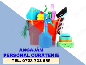 Camerista - Personal Curatenie Apartamente Regim Hotelier