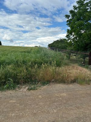 De vanzare teren 5000mp, intravilan, Glina-Strada Rasaritului. - imagine 3