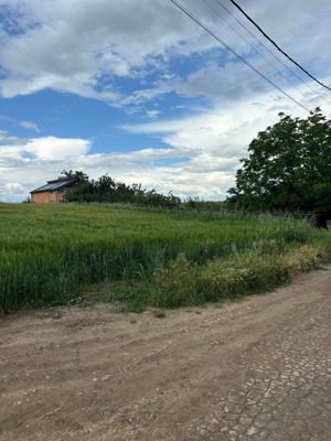 De vanzare teren 5000mp, intravilan, Glina-Strada Rasaritului. - imagine 5