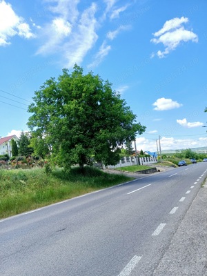 Teren intravilan 4200 mp, de vanzare in municipiul Tarnaveni, strada Armatei, nr, 192, judetul Mures - imagine 6