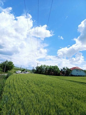 Teren intravilan 4200 mp, de vanzare in municipiul Tarnaveni, strada Armatei, nr, 192, judetul Mures - imagine 7