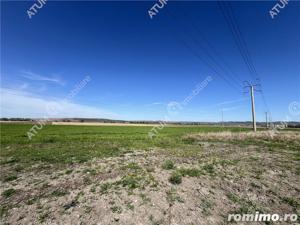 Teren intravilan de 16130 mp situat in Sibiu zona Calea Surii Mici - imagine 5