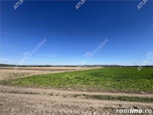 Teren intravilan de 16130 mp situat in Sibiu zona Calea Surii Mici - imagine 2