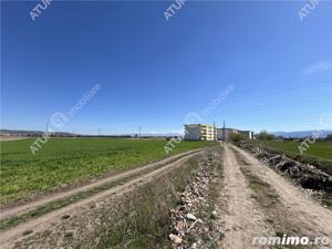 Teren intravilan de 16130 mp situat in Sibiu zona Calea Surii Mici - imagine 3