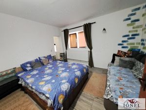 Vanzare casa cu 19.549 mp teren in Vintu de Jos - Valea Vintului - imagine 5