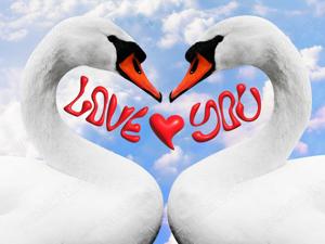 Barbat doar pt doamne domnisoare va astept pe what s up