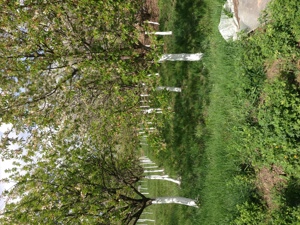 Teren intravilan de vanzare - imagine 6