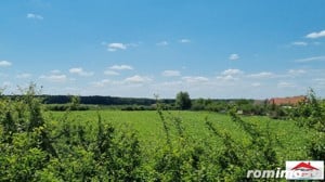 Teren extravilan 3,56 hectare in Dorolt ( ID 22873) - imagine 2