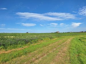 Teren intravilan pentru casa in com.Frumusani (langa lac) - imagine 9