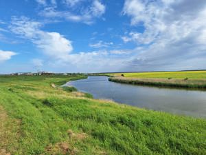 Teren intravilan pentru casa in com.Frumusani (langa lac) - imagine 10