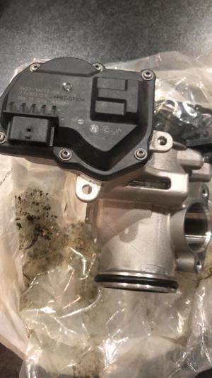 Vand EGR Land Rover Evoque