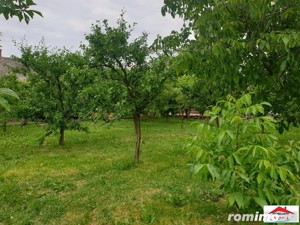 Casa cu gradina in Cauas zona Tasnad ( ID 22876) - imagine 5