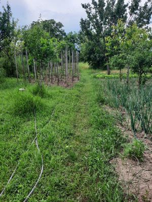 Vând casă in comuna Ciugud, sat Ciugud - imagine 4