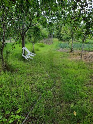 Vând casă in comuna Ciugud, sat Ciugud - imagine 5