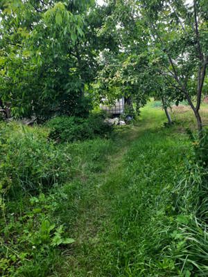 Vând casă in comuna Ciugud, sat Ciugud - imagine 6