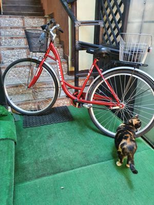 Bicicleta NOUA de vanzare