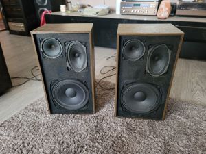 Boxe bulgaresti - imagine 3